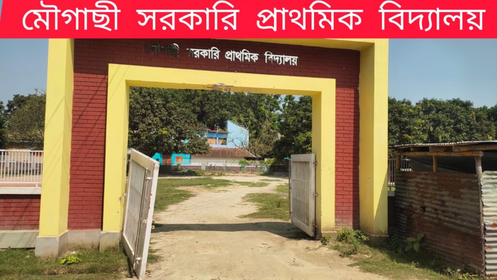 রাজশাহী মোহনপুর উপজেলার মৌগাছি সরকারি প্রাথমিক বিদ্যালয়ে দুর্নীতি ও নিম্নমানের কাজ — এলাকাবাসীর ক্ষোভ চরমে