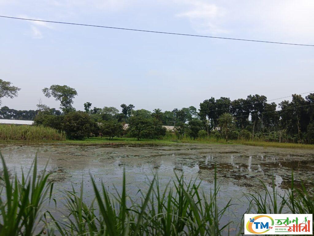 চারঘাটে তিন ফসলি জমি জলাবদ্ধতা, কৃষকরা হতাশ