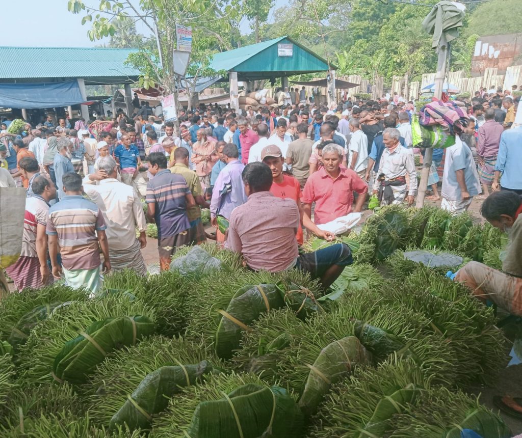 অতিবৃষ্টির চ্যালেঞ্জ জয় করে পান চাষের উজ্জ্বল ভবিষ্যৎ