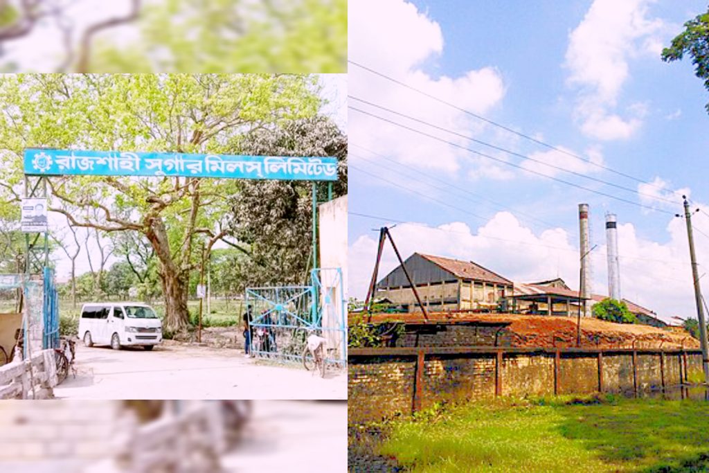 প্রস্তুতি শেষ, আখ মাড়াই কার্যক্রমে ফিরছে লোকসানগ্রস্ত রাজশাহী চিনিকল