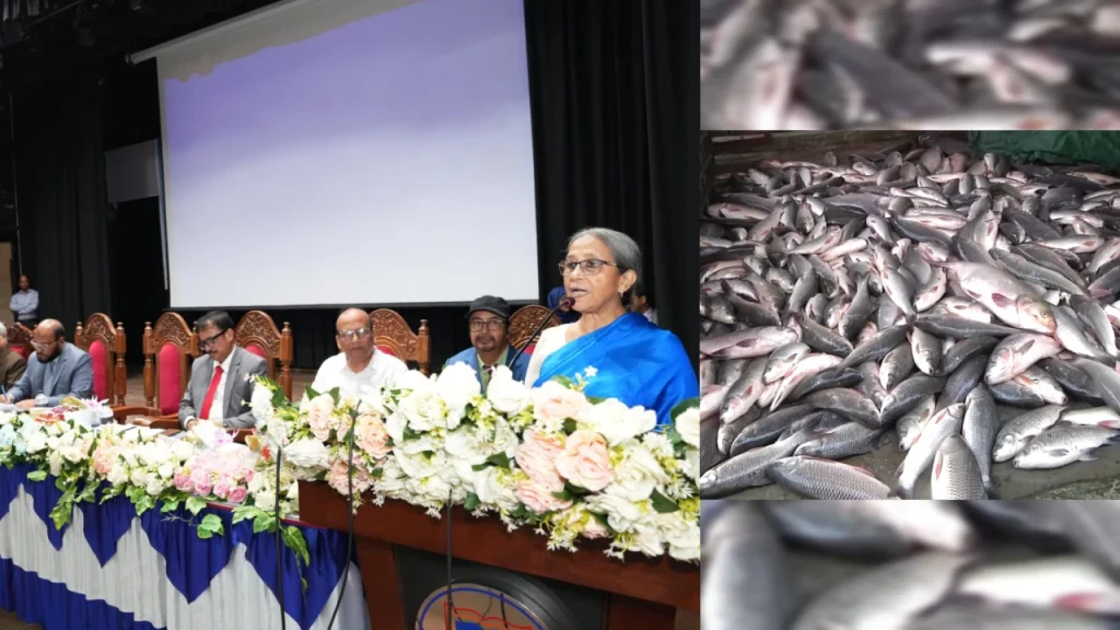 দেশের মাছ সরবরাহে রাজশাহীর অবদান ৪০ শতাংশ