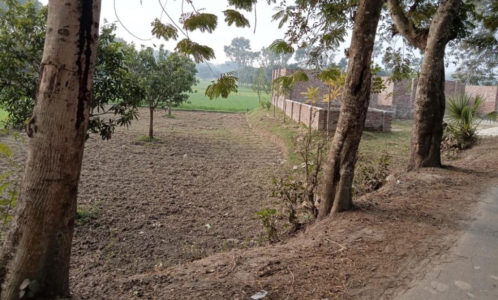 চারঘাটে দিন দিন কমতে শুরু করেছে ফসলি জমি