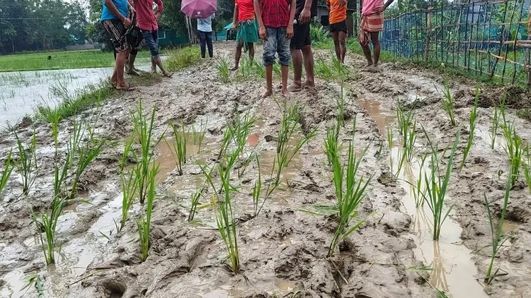 সড়কে কাদা, সংস্কারের দাবিতে অভিনব প্রতিবাদ
