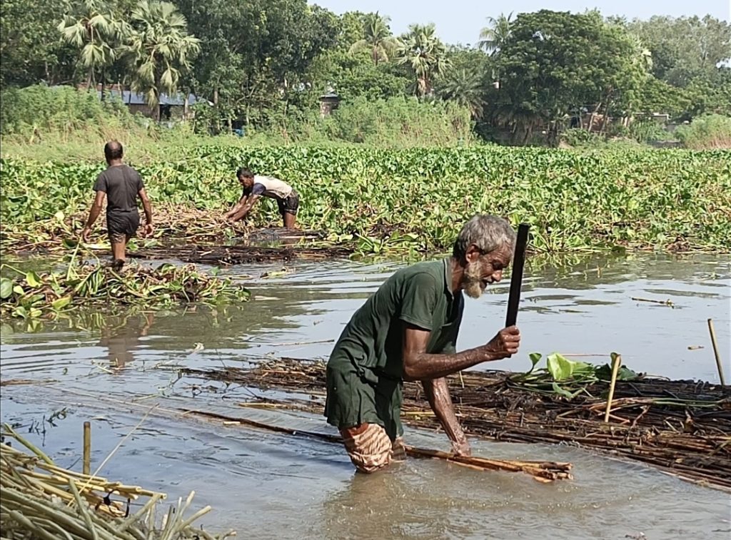 মোহনপুরে পাটের বাম্পার ফলন, কৃষকের মুখে হাসি !!
