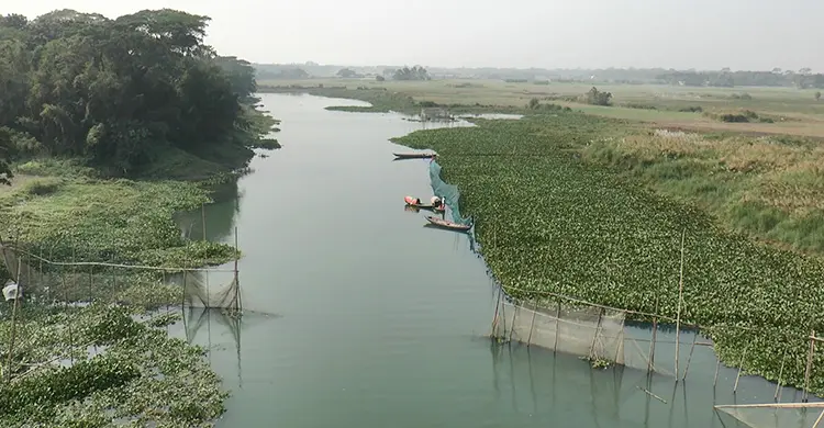 দিন দিন অস্তিত্ব হারাচ্ছে মাদারীপুরের নদ-নদী