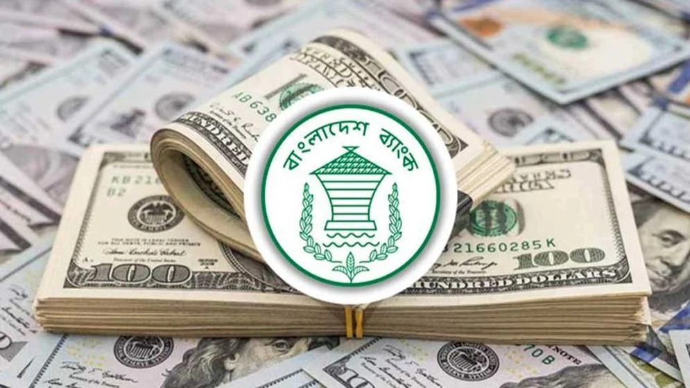 ১৯ দিনে রেমিট্যান্স এলো ১৮০ কোটি ৭০ লাখ ডলার