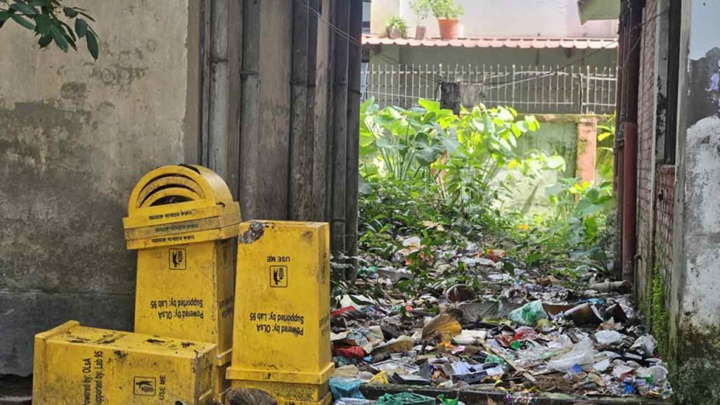শিক্ষাপ্রতিষ্ঠানেই এডিসের প্রজননস্থল, ঝুঁকিতে শিক্ষার্থীরা