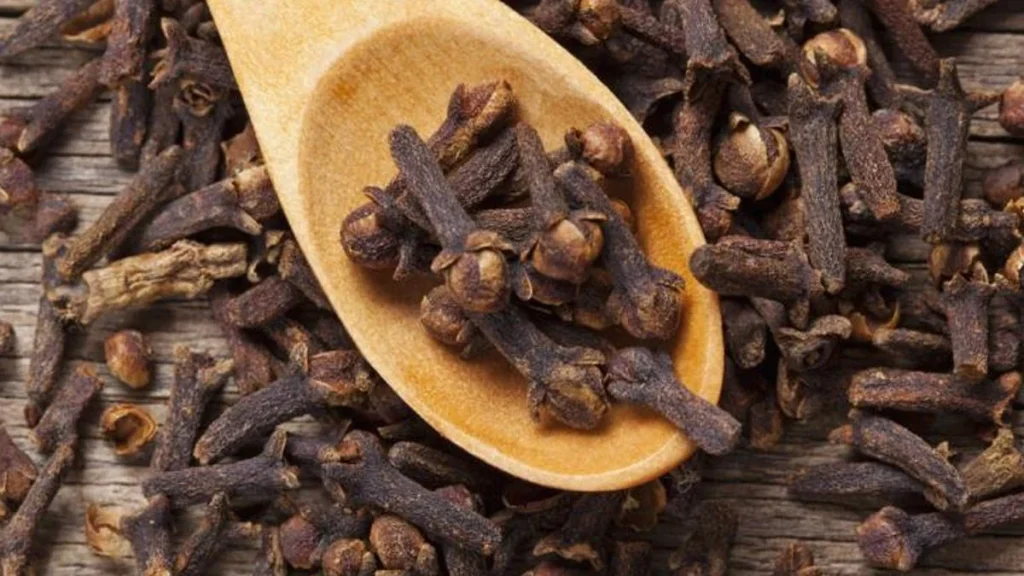 হাড়ের স্বাস্থ্য ভালো রাখতে কতটা উপকারী লবঙ্গ?